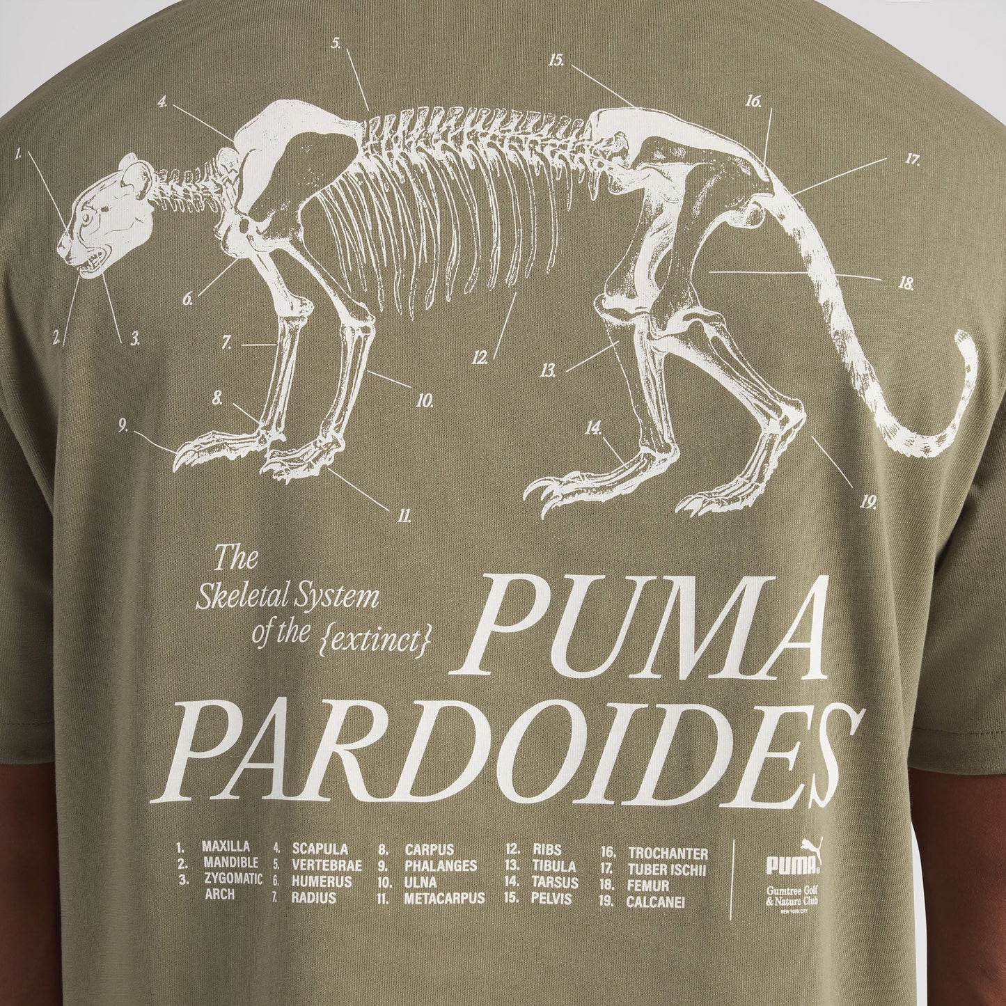 Gumtree Golf & Nature Club Pardoides Performance Tee
 – PUMA Golf Sale