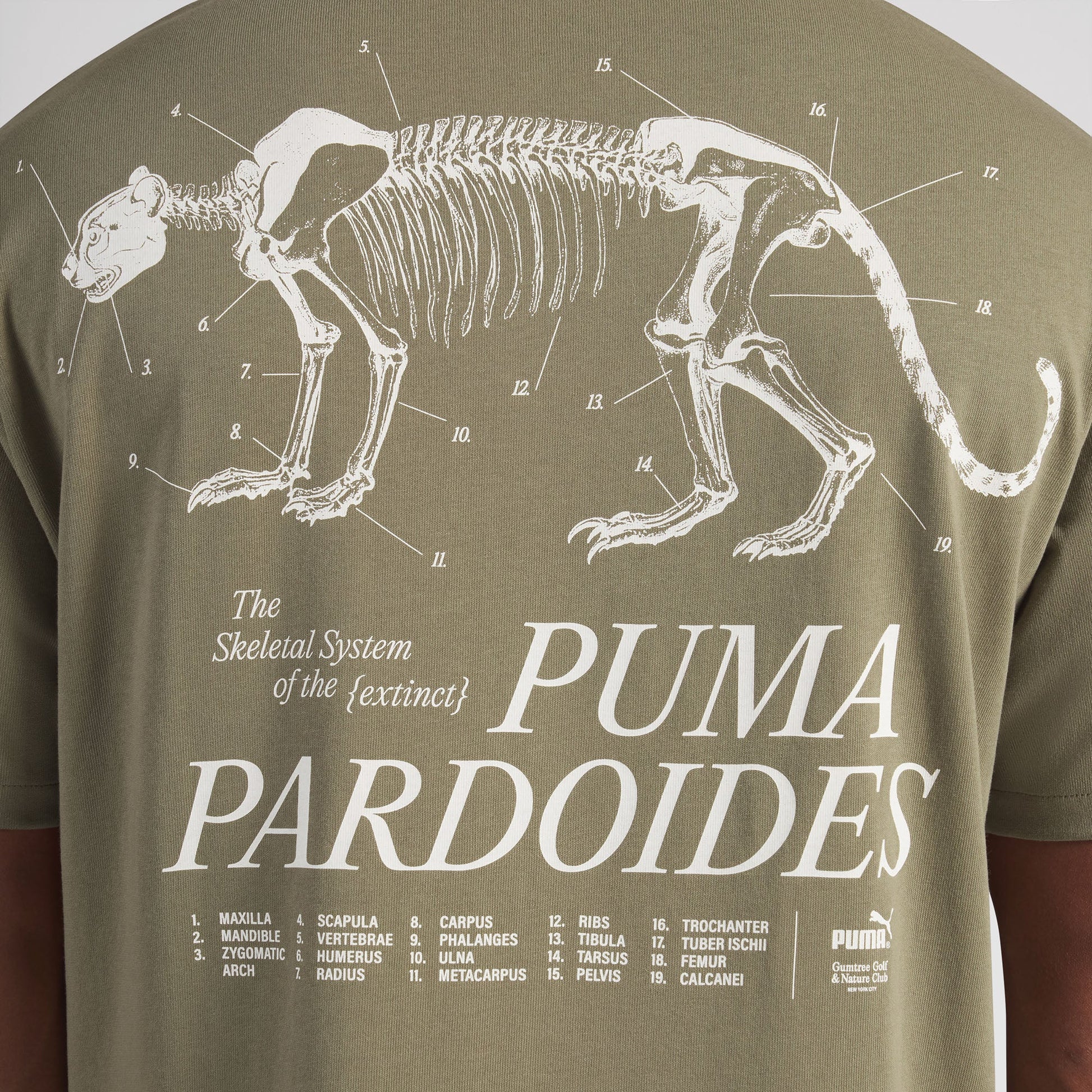 Gumtree Golf & Nature Club Pardoides Performance Tee
 – PUMA Golf Sale