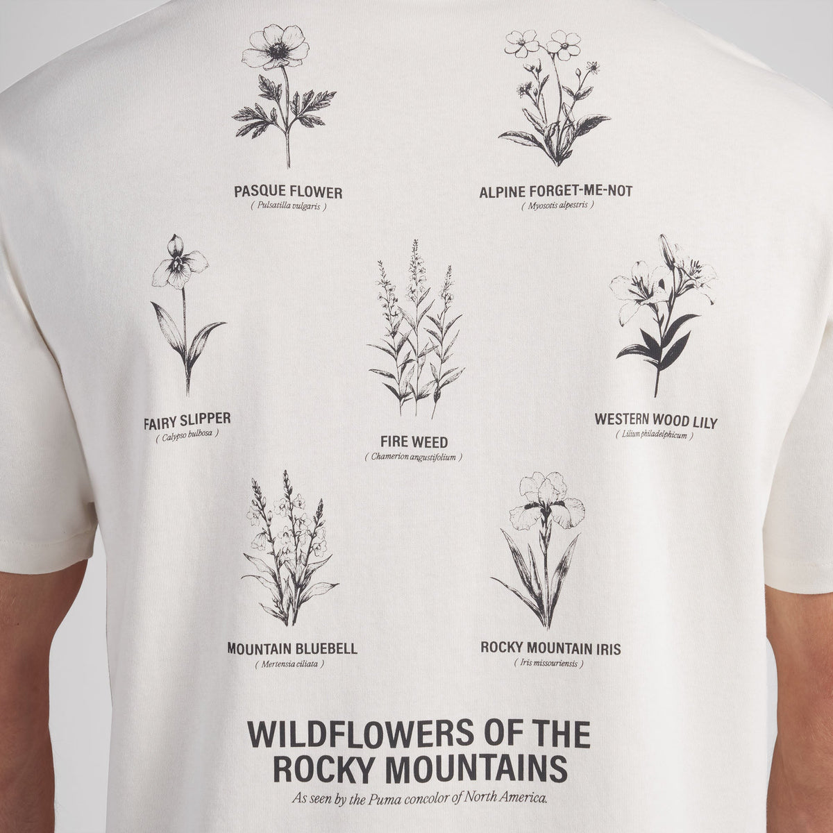 Gumtree Golf & Nature Club Wildflower Golf T-Shirt
 – PUMA Golf Special Offer
